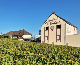 Chardonnay -  Blanc de Blancs, G. Tribaut, Hautvillers