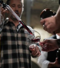 Kékfrankos, Pinot noir, Merlot + 4 - Aldas, Egri, Bikaver Superior, St Andrea, Hongarije