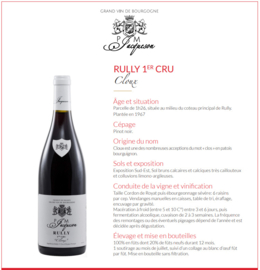 Pinot Noir  - 1e Cru Bourgogne Rully Les Cloux - Domaine Jacqueson