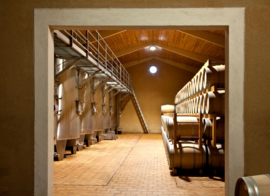 Merlot, Cabernet Sauvignon -  Vignobles Michel Coudroy, Montagne Saint Emilion, Bordeaux,