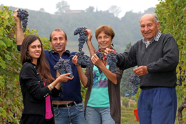 Nebbiolo - Barolo  Cru Ginestra,  Paolo Conterno, Monforte d'Alba