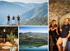 Field Blend - Letra F, Macanita Vinhos, Douro