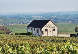 Chardonnay, Pinot Noir -  Millesime 2017 1ER Cru, G. Tribaut, Hautvillers