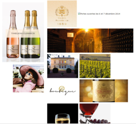 Chardonnay,  Arbois -  Vincent Edouard Poirier  Brut - Grenelle, Loire