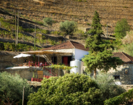 Field Blend - Letra F, Macanita Vinhos, Douro