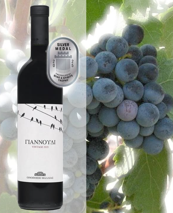 Yiannoudi -  Mallia KEO Winery, Cyprus