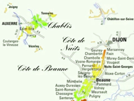 Chardonnay - Vezelay, Elegante, Domaine La Croix Montjoie