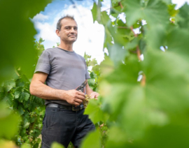 Chardonnay -  Virre Clesse, Bourgogne, Domaine Du Mont Epin