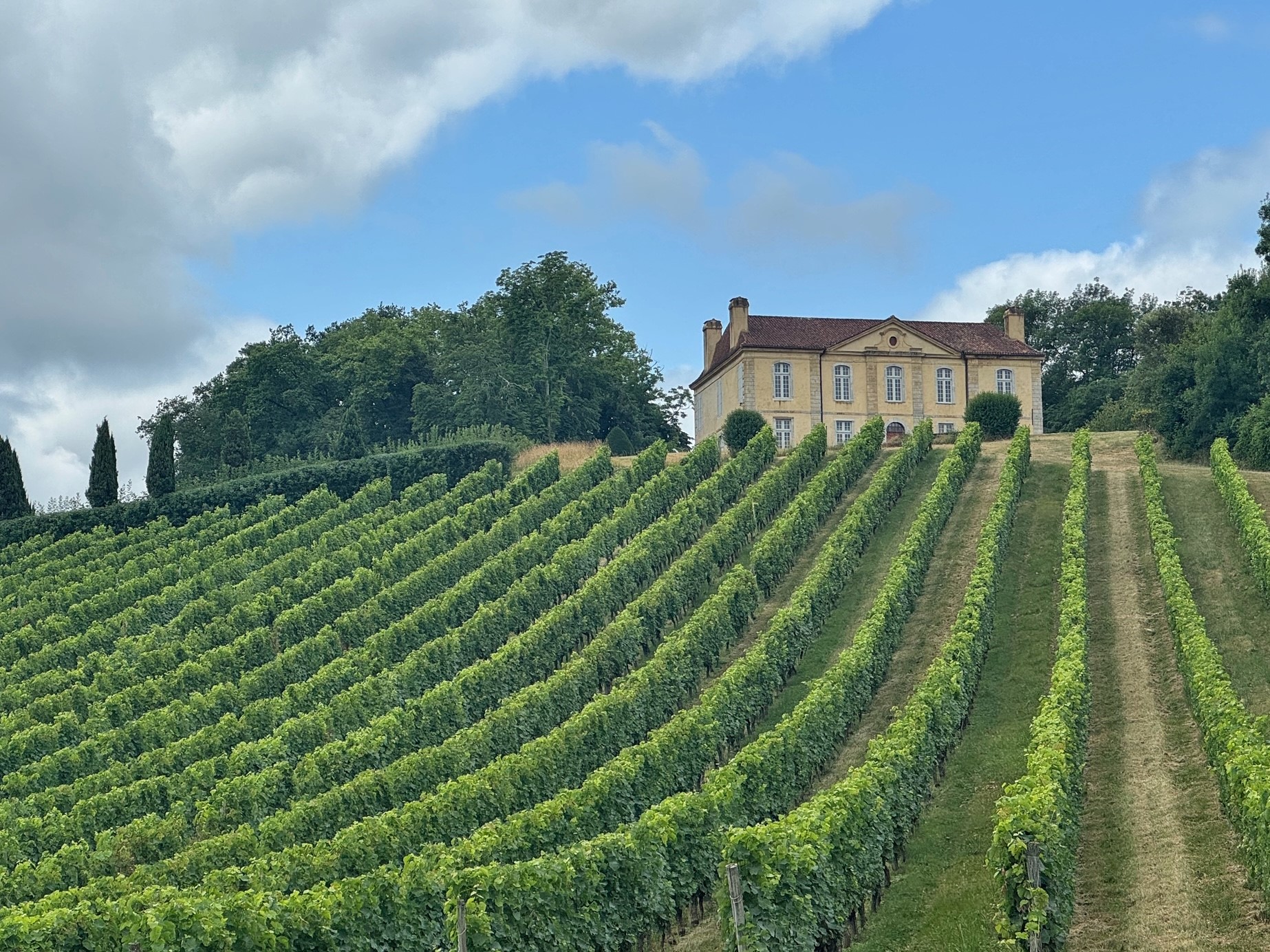 Petit Manseng, Gros Manseng, Petit Courbu - Seraphin Blanc, Chateau Viella