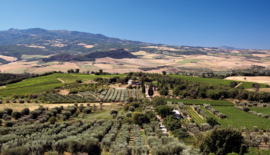 Sangiovese, Colorino - Tenuta di Sesta - Rosso Toscane - Camponovo