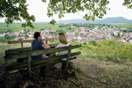 Weissburgunder - Pfalz, biologisch Weingut Kranz - Weisser Burgunder