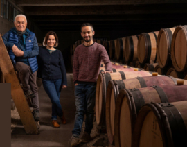 Chardonnay  - Bourgogne Rully Blanc  Gresigny -  Domaine Jacqueson