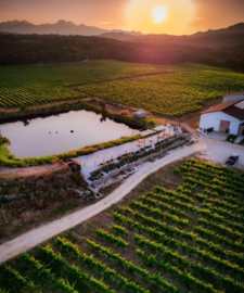 Cannonau -  Animosu, Tenute Gregu, Sardinie