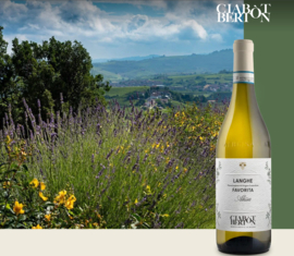 Favorita - Langhe Favorita, Alissa, Ciabot Berton, Piemonte