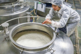 Sake - rijstwijn, Konishi Gold, Daiginjo, Hiyashibori, Nihonshu