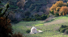 Tachtas -  Douloufakis Winery, Kreta Griekenland