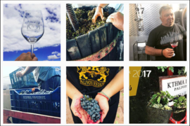 Agiorgitiko - Nemea, Palivou Estate, Peloponnesos, Griekenland