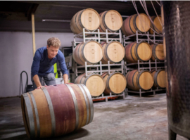 Pinot Noir- vatgerijpt, Wijngoed Thorn - Maasvallei - Nederland