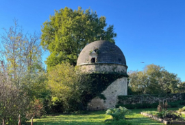 Sauvignon Blanc - Chateau Roquefort - Les Roches, Famille Bellanger, Bordeaux