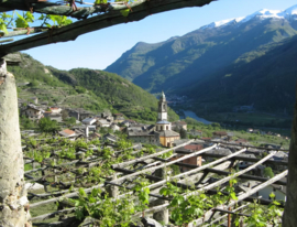Erbaluce - Di Caluso D.O.C.G. Bianchera, Tenute Orsolani