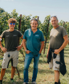 Enantio - Red Point, Cantina Roeno, Trentino