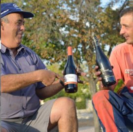 Airén, Sauvignon blanc - Terros Blanc - La Bodega de Pinoso