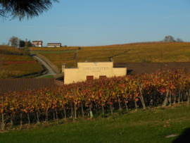 Nebbiolo - Serre dei Roveri,  Nebbiolo d'Alba