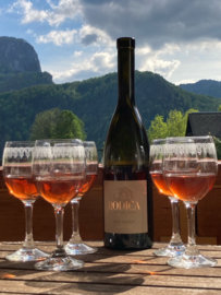 Sivi Pinot - Pinot Grigio ramato, Rodica Winery, Marezige, Koper, Slovenie