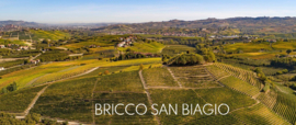 Barbera  - Vigna Bricco San Biagio, Ciabot Berton - Piemonte
