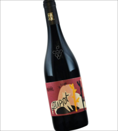 Merlot, Cabernet Franc - Bordeaux, Fronsac, Domaine Jean-Yves Millaire