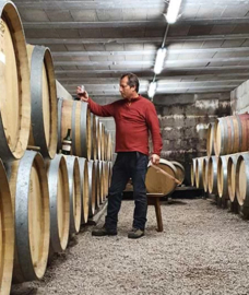 Pinot Noir, Syrah - La Saromagnote, vatgerijpt, Lyonnais,Vins de Franck Decrenisse
