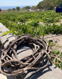 Assyrtiko  - Estate Argyros - Santorini, Griekenland