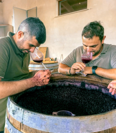 Cannonau -  Animosu, Tenute Gregu, Sardinie