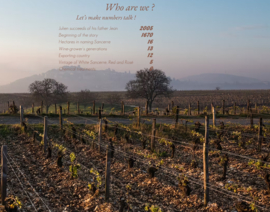 Sauvignon Blanc - Sancerre Le Pierrier, Thomas et Fils, Loire