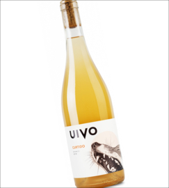 Muscat Blanc a Petits Grains - Uivo Curtido, Folias de Baco, oranjewijn, Portugal, Douro