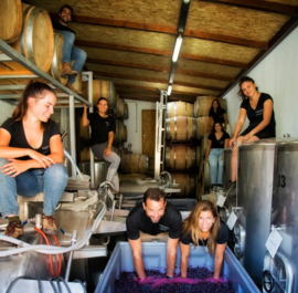 Field Blend - Letra F, Macanita Vinhos, Douro