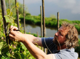 Riesling - Clemens Busch,  Mosel Gutswein Trocken