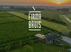 Wildkruid -  Thee, Firma Bruis, alcohol vrij, Betuws Wijndomein