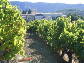 Grenache, Syrah, Marselan - Caritatis Lux, Ventoux, Rhone