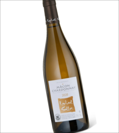Chardonnay - Macon, Domaine Sallet
