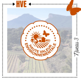 Grenache, Syrah - Clos des Combes, AOC Pic Saint Loup, Chateau de Lancyre