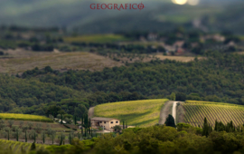 Sangiovese, Merlot, Cabernet - Geografico Bosco del Grillo Governo - Toscane