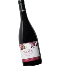 Pinot Noir - Wijngoed Thorn - Maasvallei - Nederland