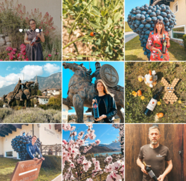 Lagrein -  Tenuta Ritterhof,  Alto Adige