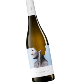 Falanghina -  Cantine Teanum, Puglia