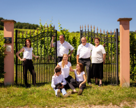 Gewurztraminer - Reserve, Fernand Engel, Elzas