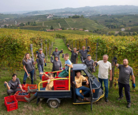 Barbera  - Fisetta Barbera d'Alba, Ciabot Berton - Piemonte