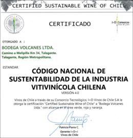 Pinot Noir -  Reserva - Bodega Volcanes - Chili