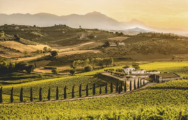 Montepulciano - Abruzzo DOC, Contesa