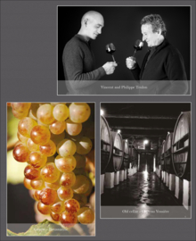 Syrah, Grenache, Mourvedre - Phillipe Vessiere,  Chateau Vessiere, Nimes